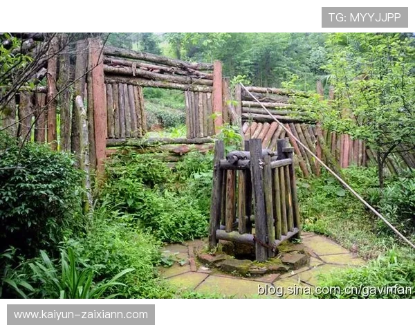 SCTV8四川乡村频道高清直播在线观看